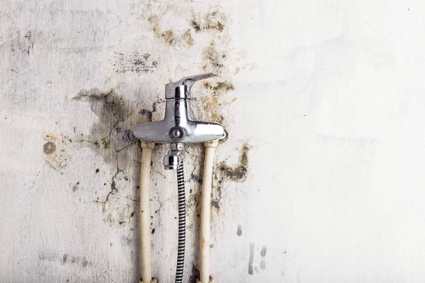 Mold Testing and Removal in Hominy, OK