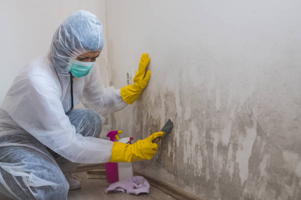 Best Mold Testing  in Hominy, OK