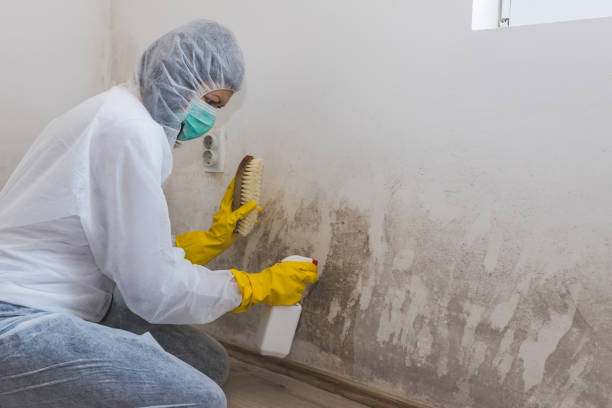 Best Residential Mold Removal  in Hominy, OK