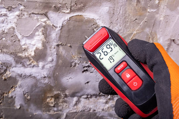 Best Office Mold Removal Services  in Hominy, OK