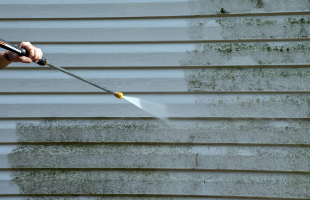 Best Mold Cleaning Services  in Hominy, OK