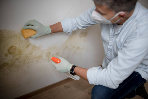 Best Crawl Space Mold Removal  in Hominy, OK
